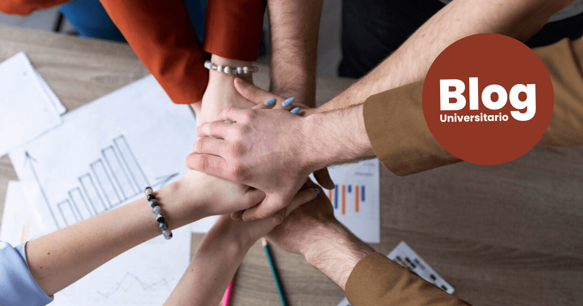 Imagen del artículo: Trabajo en equipo: ¿Cómo sacarle provecho?