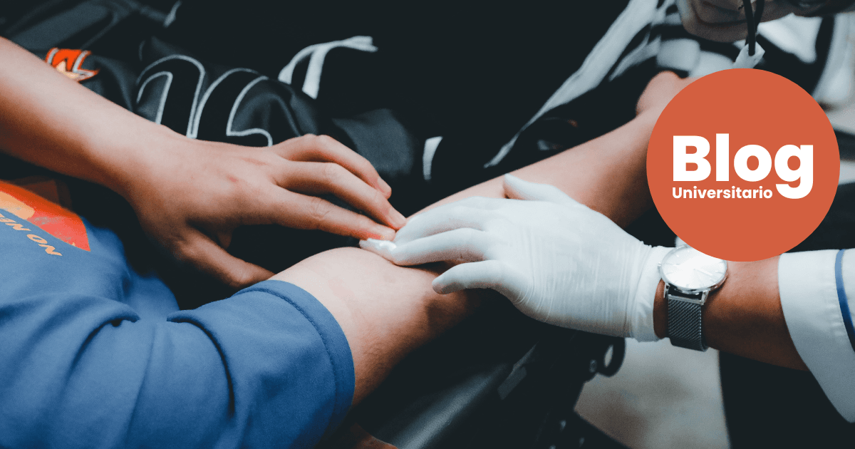 Imagen del artículo: ¿En qué se diferencia Medicina, Enfermería y Farmacia?