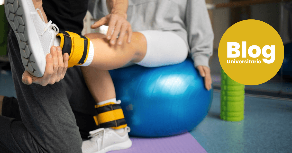 Imagen del artículo: ¿Qué aprendés cuando estudiás Terapia Física?