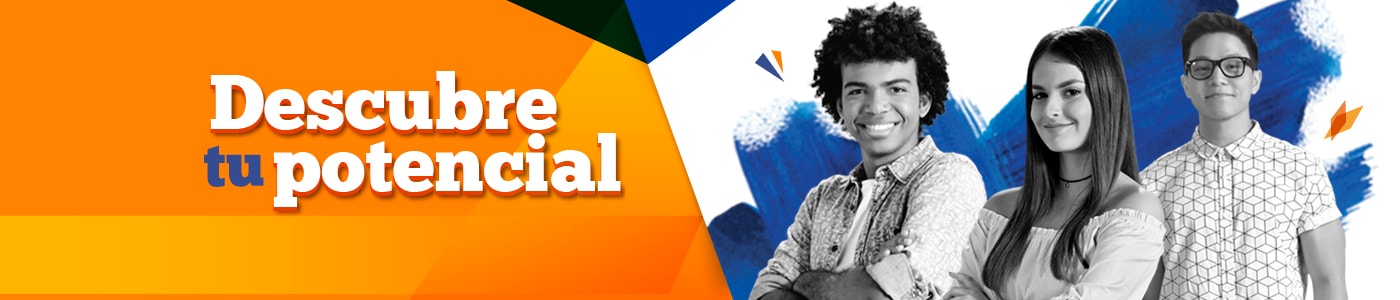 Universidad Politécnica Internacional