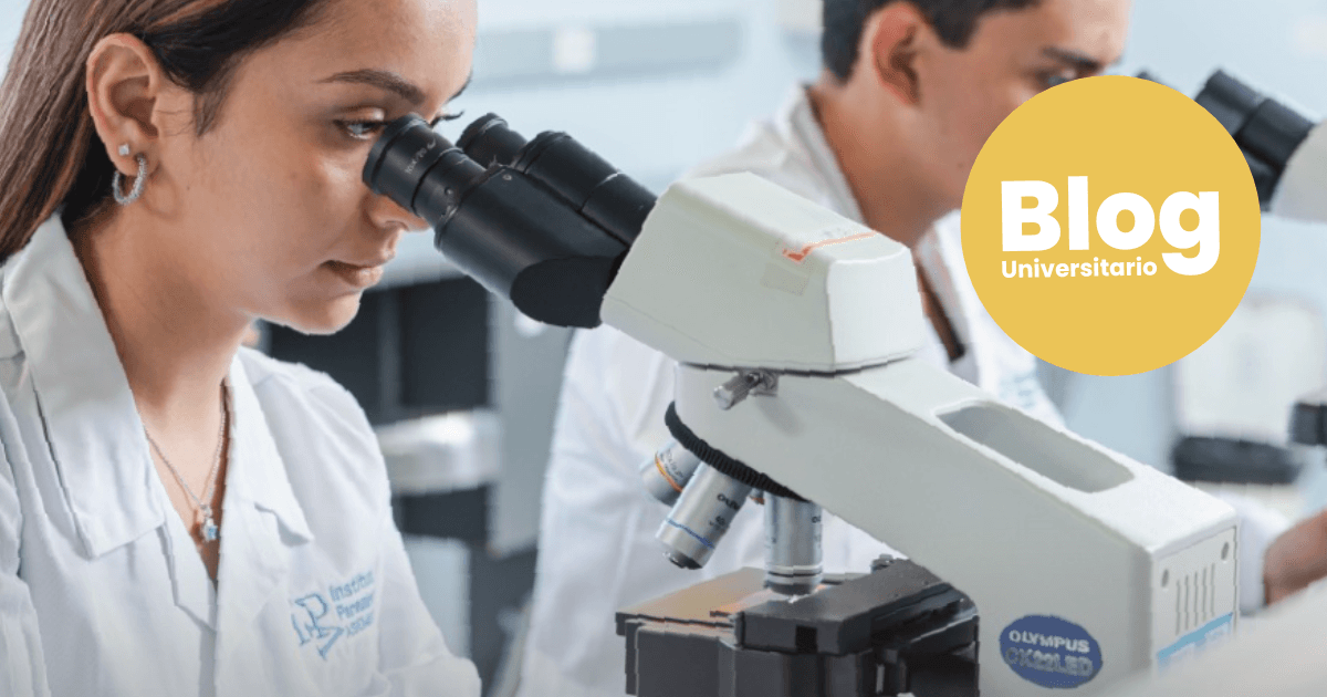 Imagen del artículo: ¿Por qué estudiar un técnico o diplomado en Ciencias de la Vida?